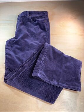 Deep Blu/Purple Corduroy Woman’s Pants Sz 10